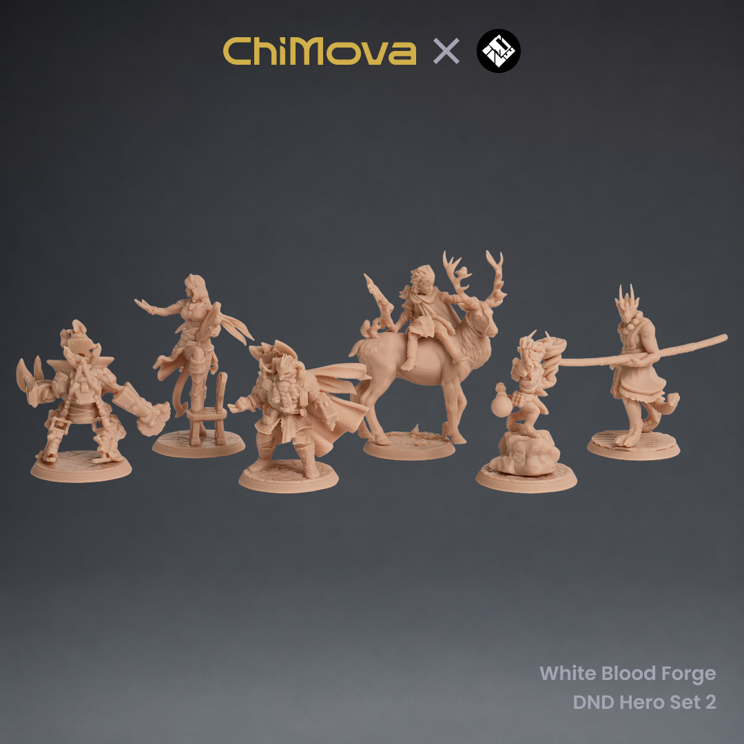 White Blood Forge: DND Hero Set 2