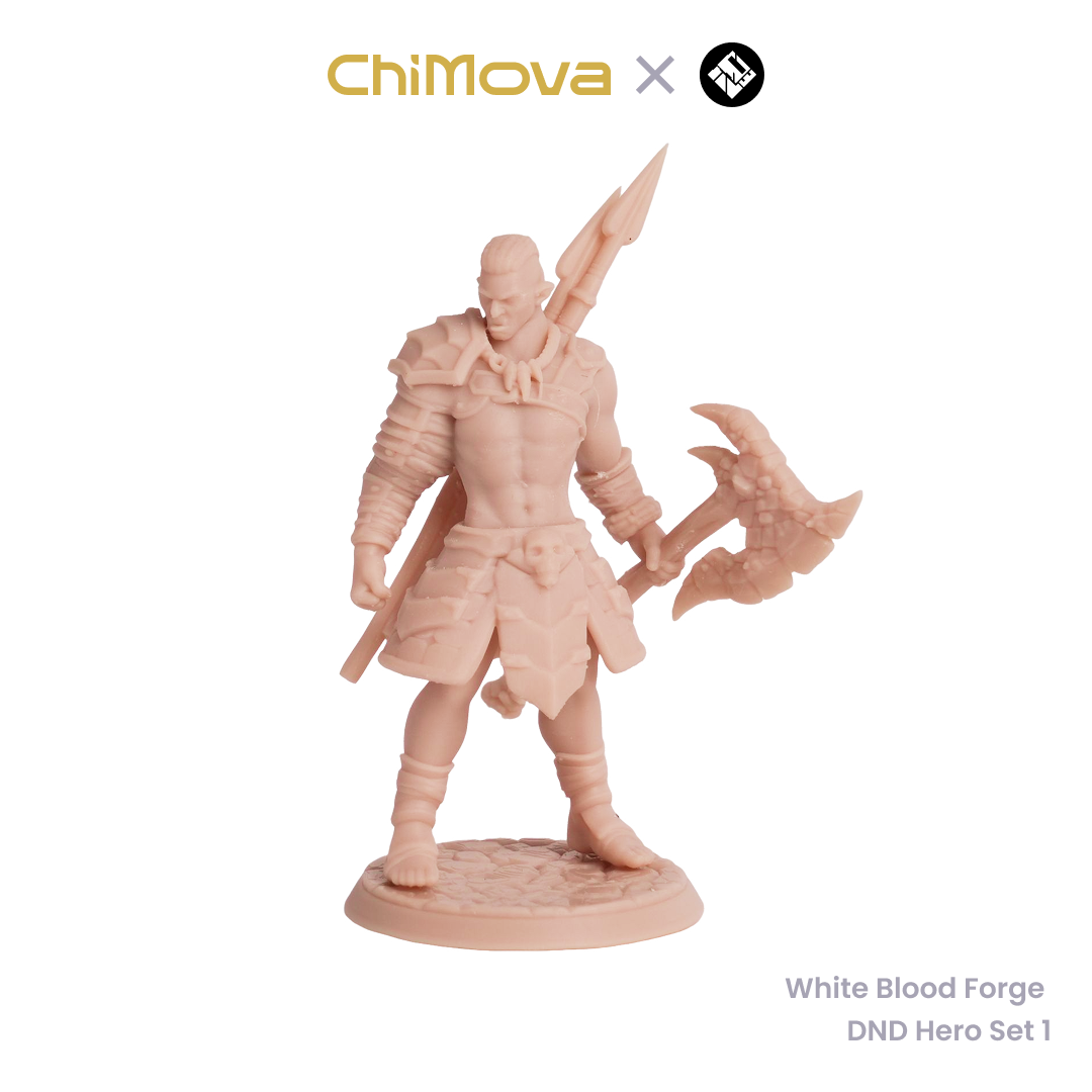White Blood Forge: DND Hero Set 1 - Unpainted Resin Miniature Set for DND & TRPG product image 2