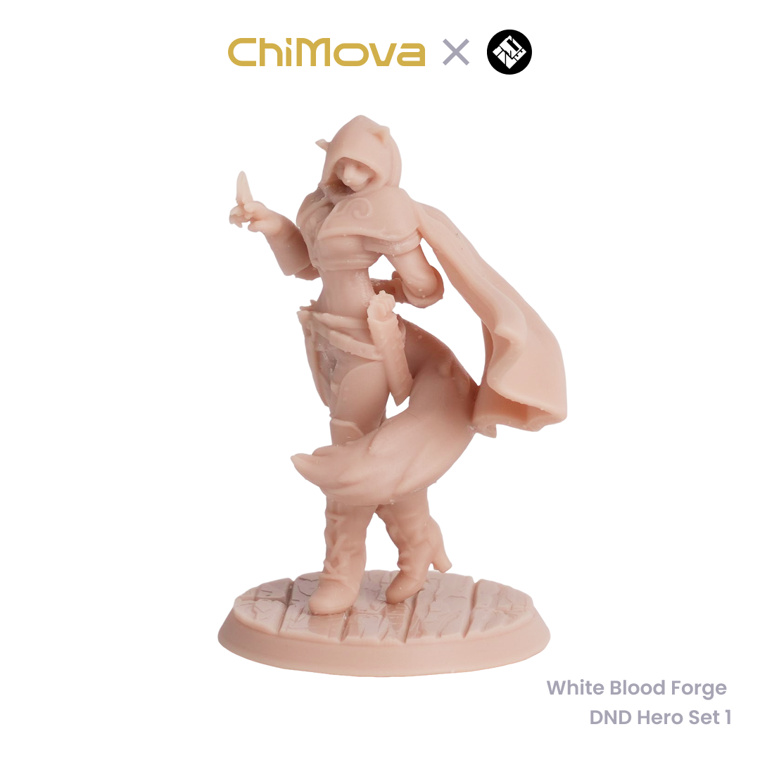 White Blood Forge: DND Hero Set 1 - Unpainted Resin Miniature Set for DND & TRPG product image 4