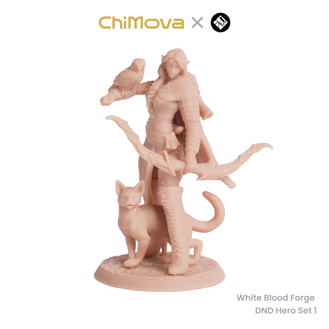 White Blood Forge: DND Hero Set 1 - Unpainted Resin Miniature Set for DND & TRPG product image 7
