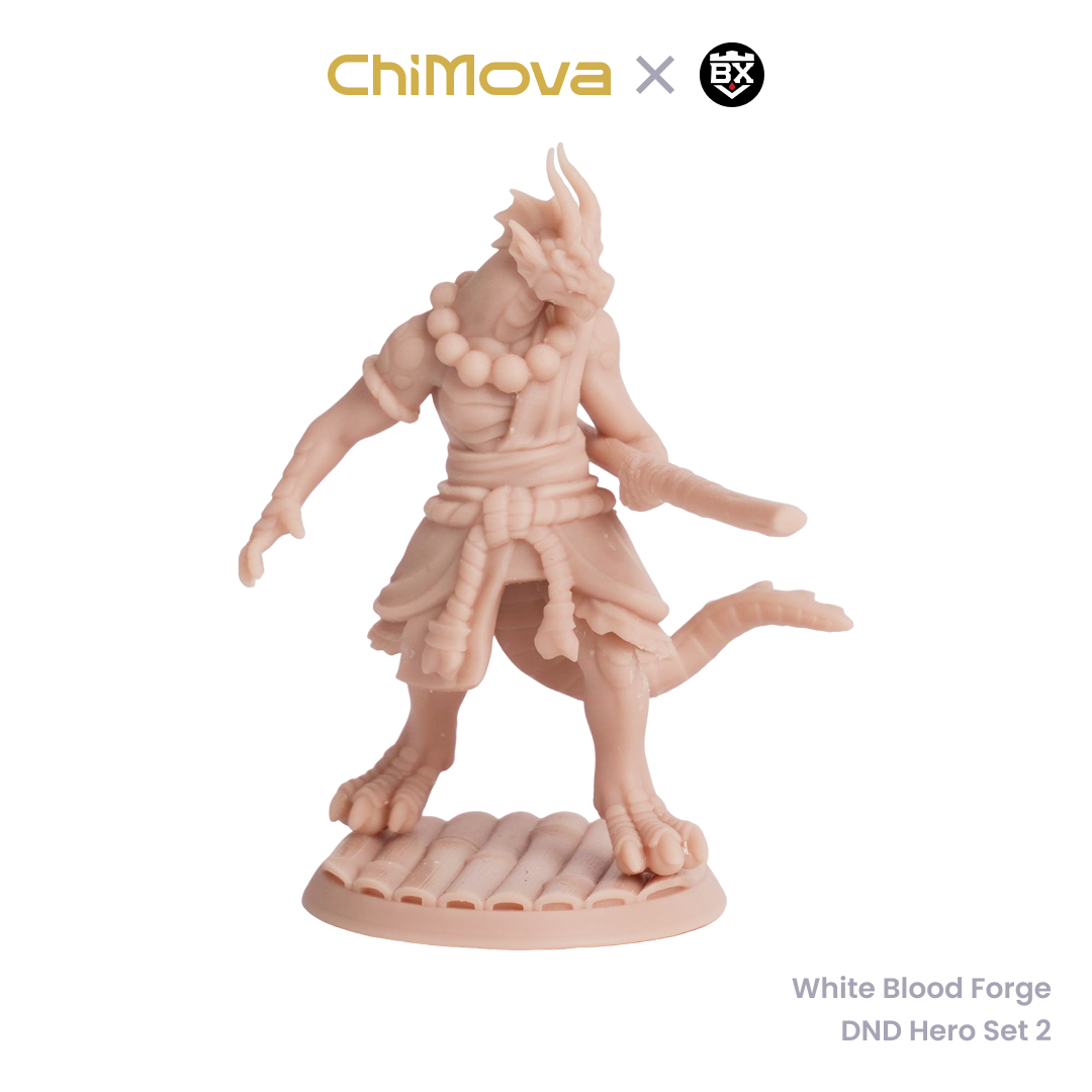 White Blood Forge: DND Hero Set 2 - Unpainted Resin Miniature Set for DND & TRPG product image 1
