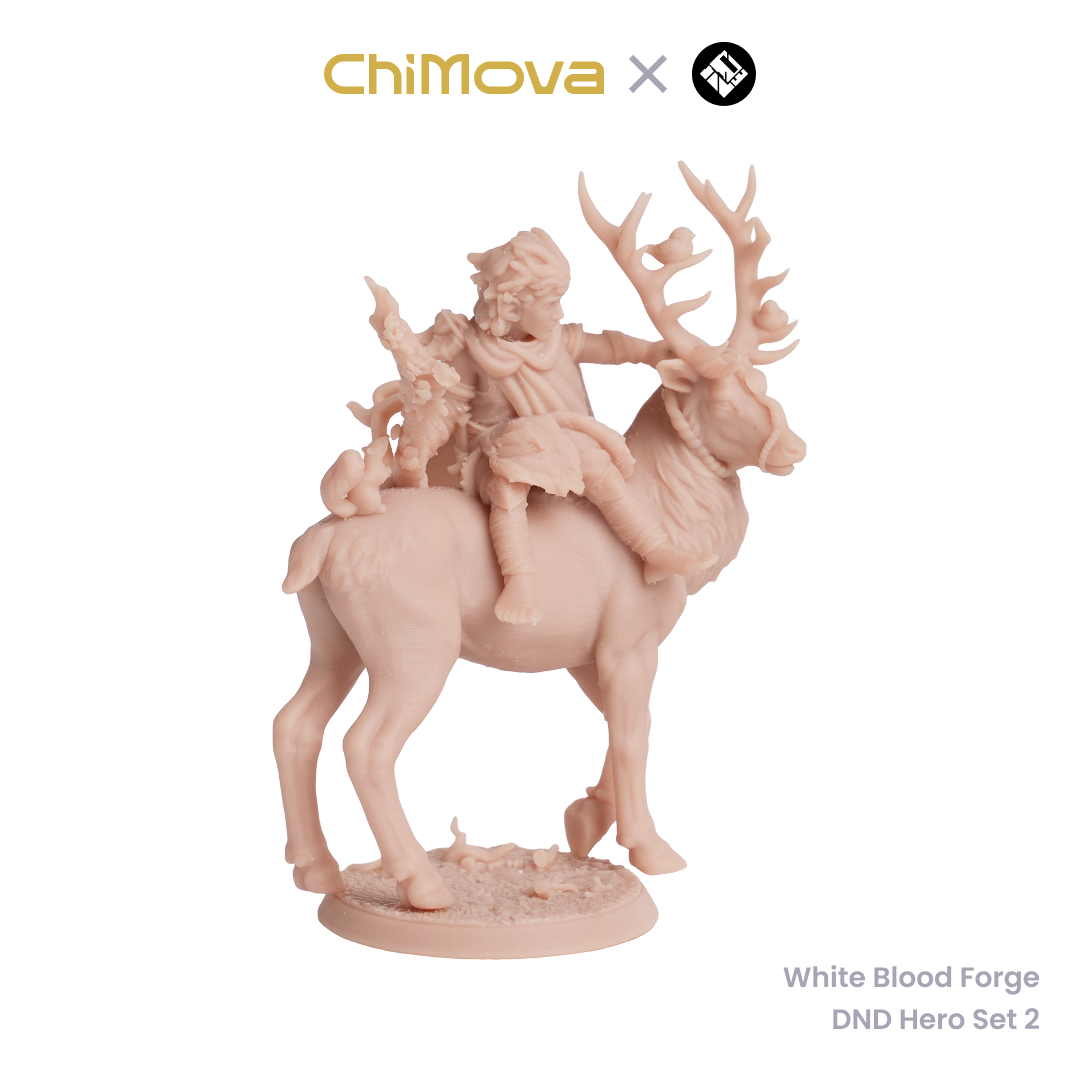White Blood Forge: DND Hero Set 2 - Unpainted Resin Miniature Set for DND & TRPG product image 2