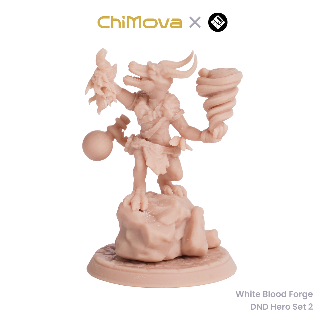 White Blood Forge: DND Hero Set 2 - Unpainted Resin Miniature Set for DND & TRPG product image 4