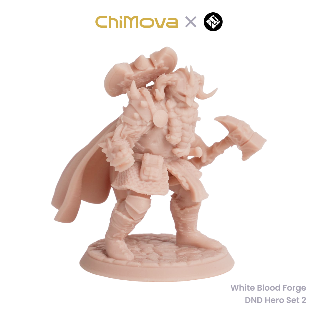 White Blood Forge: DND Hero Set 2 - Unpainted Resin Miniature Set for DND & TRPG product image 5