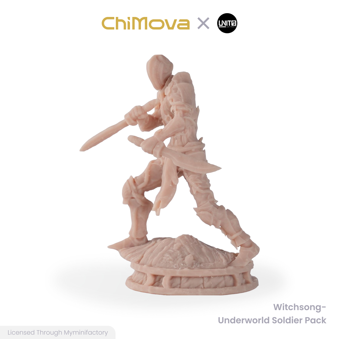 Witchsong Miniatures: Underworld Soldier Pack - Unpainted 25mm Resin Miniature Set for DND & TRPG