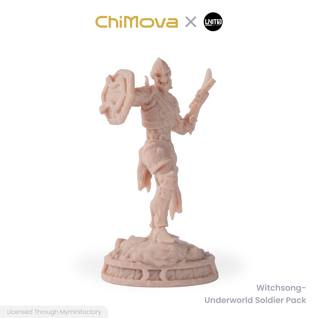 Witchsong Miniatures: Underworld Soldier Pack - Unpainted 25mm Resin Miniature Set for DND & TRPG