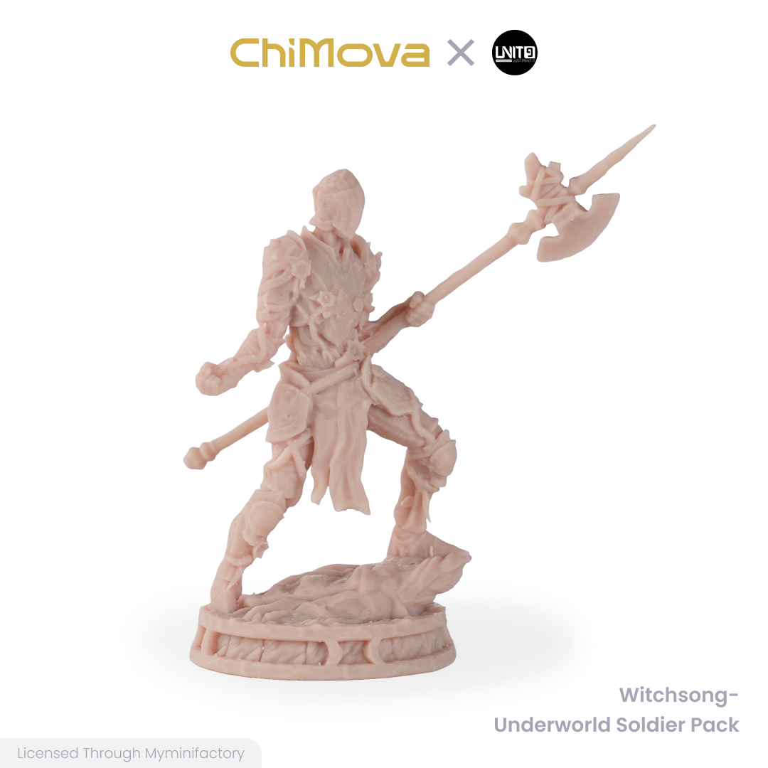 Witchsong Miniatures: Underworld Soldier Pack - Unpainted 25mm Resin Miniature Set for DND & TRPG